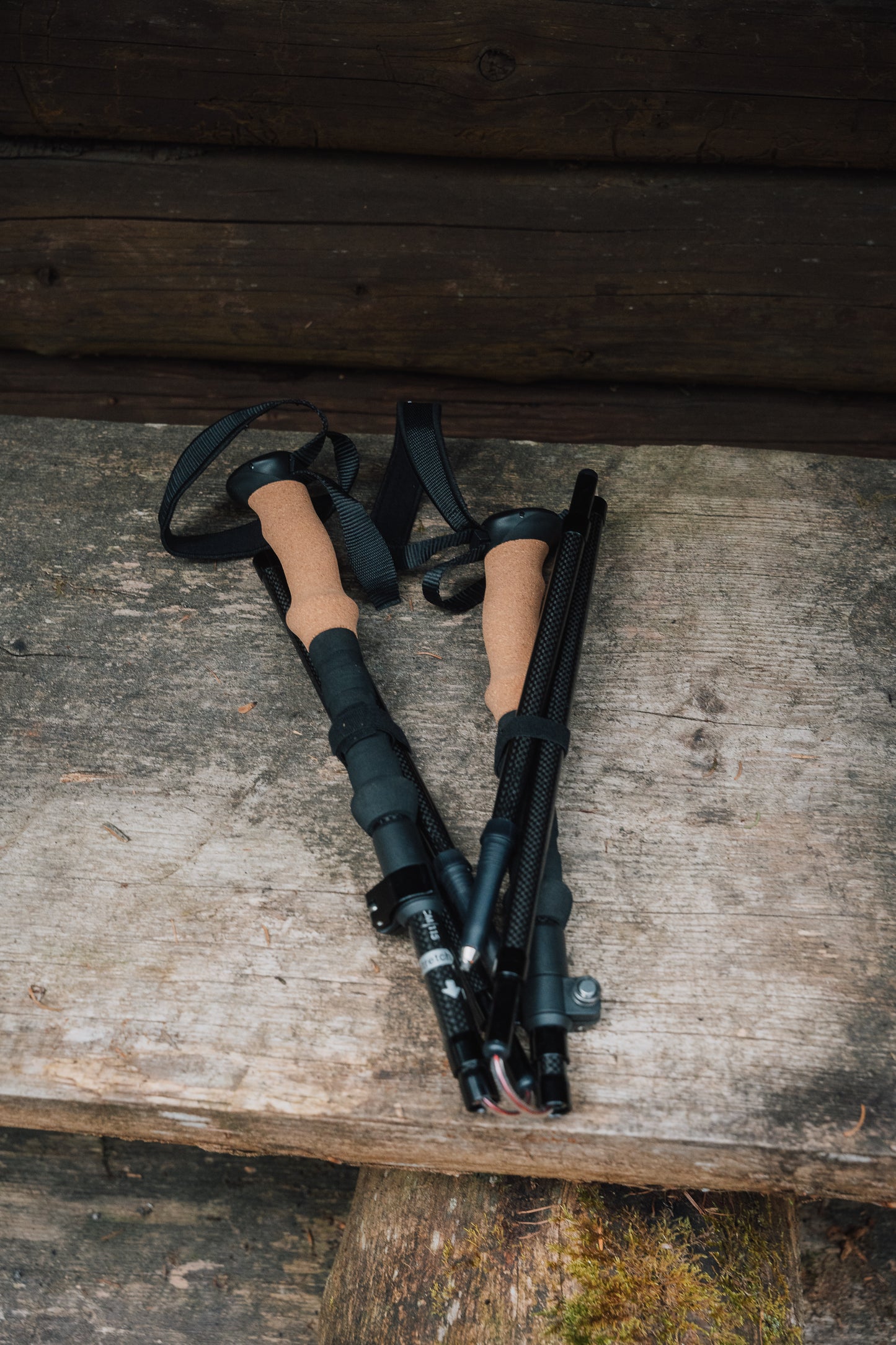 Carbon hiking poles "Reinhold"